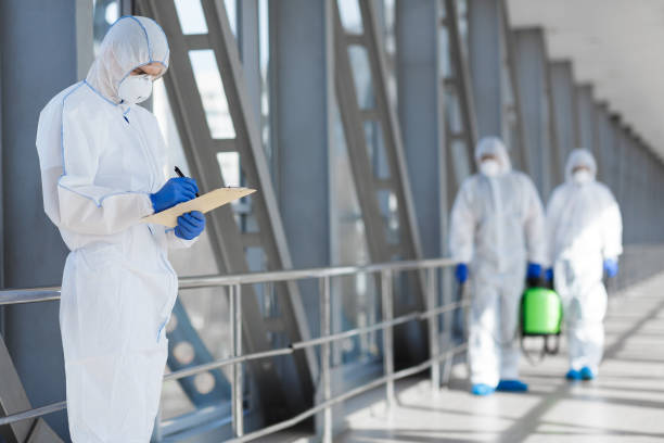 Dehumidification Services in Central Islip, NY